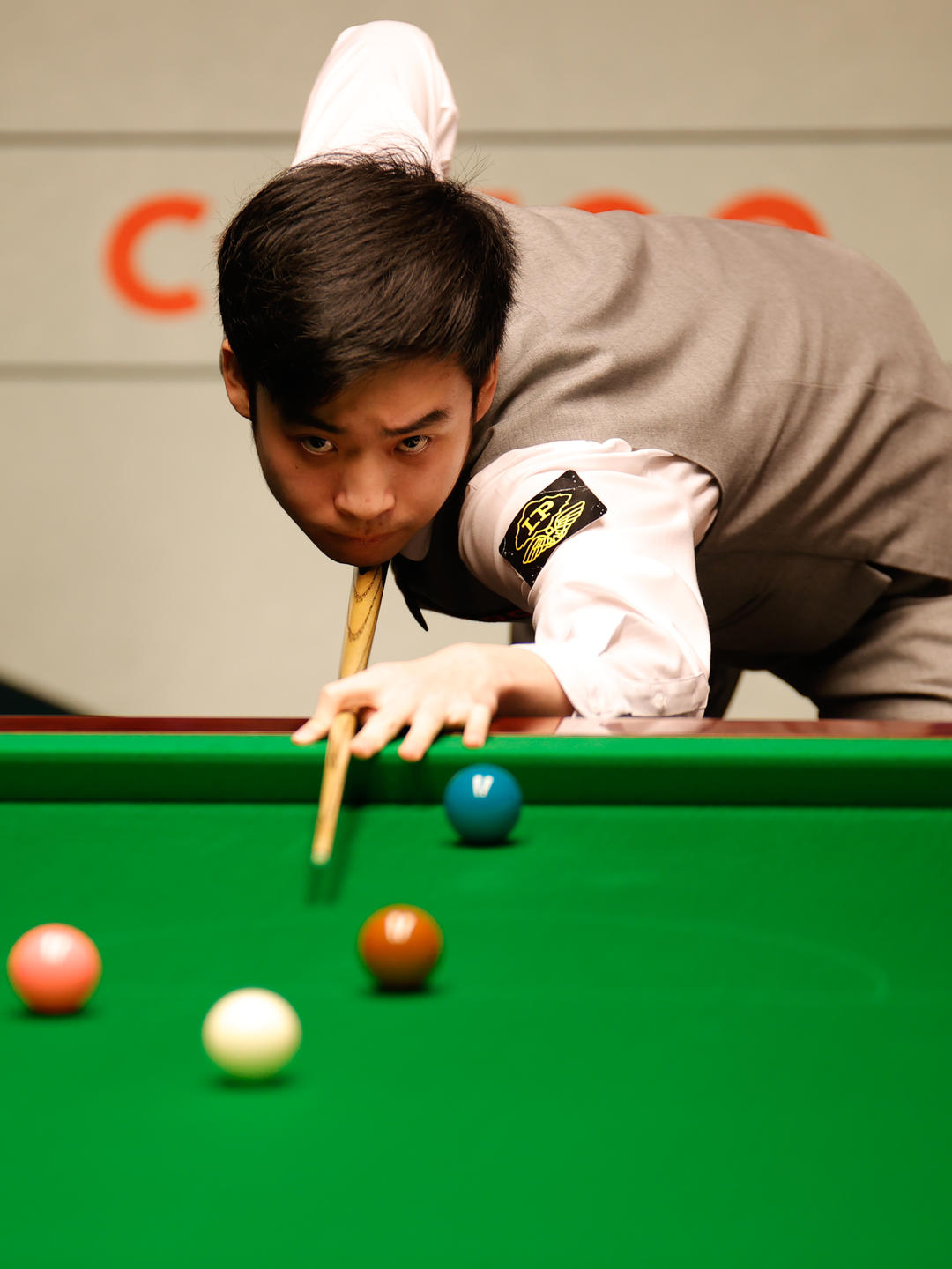 熊战术体系 熊战术体系